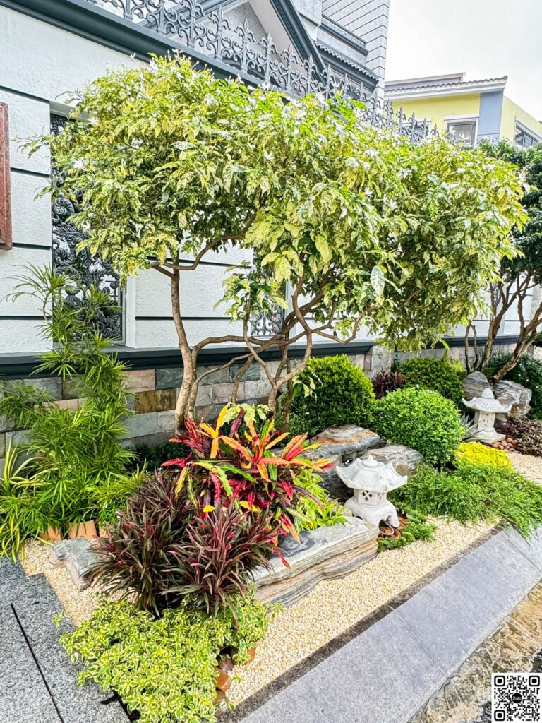 Biệt thự Thảo Điền dưới 70 tỷ tại Biệt thự Thảo Điền bán – Nhà Đất Sài Gòn | Biệt thự Thảo Điền Quận 2