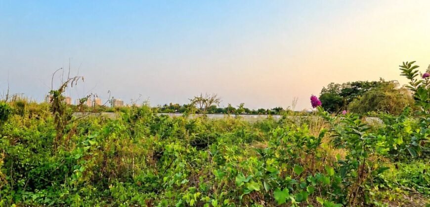 Bán đất nền Bình Trưng Đông Quận 2, 143,2 m², giá 11,5 tỷ