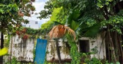 Bán đất biệt thự Thảo Điền 422,1m², giá 95 tỷ