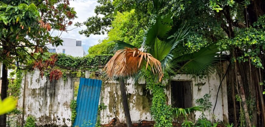 Bán đất biệt thự Thảo Điền 422,1m², giá 95 tỷ