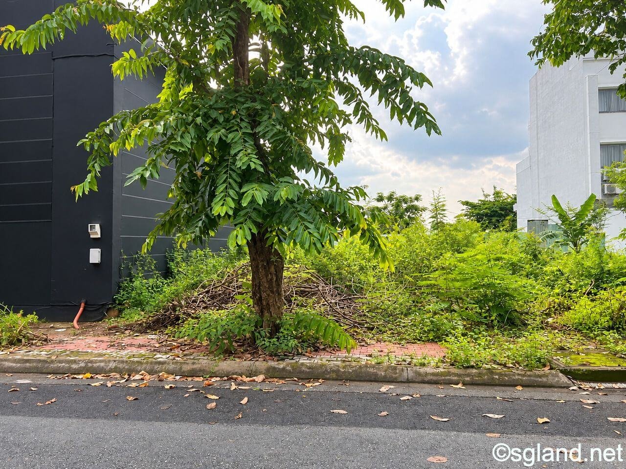 Bán Đất Nền Đường 86 Thạnh Mỹ Lợi 200m² Ngang 10m Khu Quang Trung 55 Lô đất trống cạnh công trình hiện hữu trên đường 86