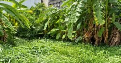 Bán đất Bùi Tá Hán An Phú An Khánh 160 m², giá 36 tỷ Bán đất Bùi Tá Hán An Phú An Khánh 160 m², giá 36 tỷ